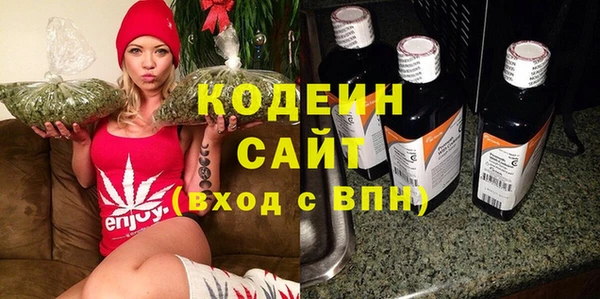 крисы Абаза
