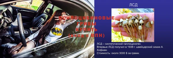 соль курить ск Алзамай