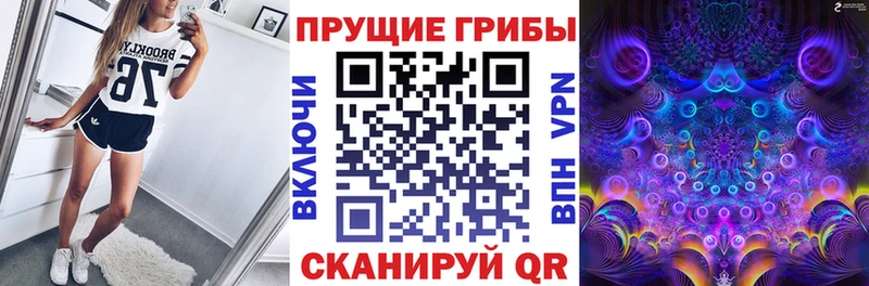 Псилоцибиновые грибы GOLDEN TEACHER Электросталь