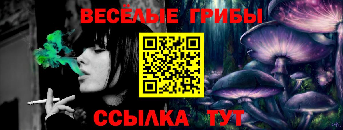 Псилоцибиновые грибы Psilocybine cubensis  Галлюциногенные грибы мухоморы  Вход с VPN  Электросталь 